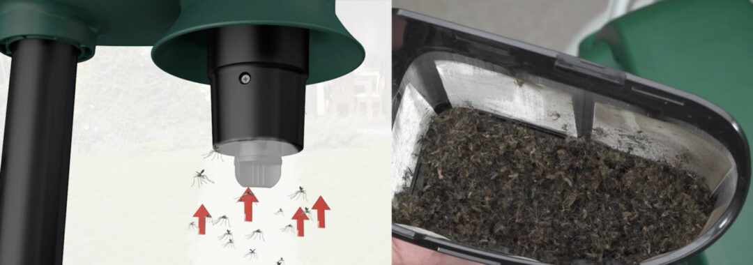 Myggfångare och fullt lock med insekter.