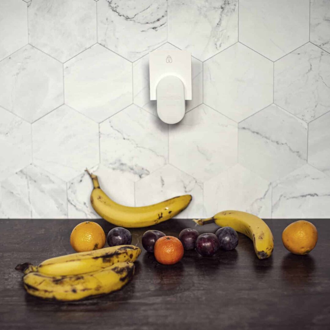 Olika frukter framför en inkopplad Dynatrap