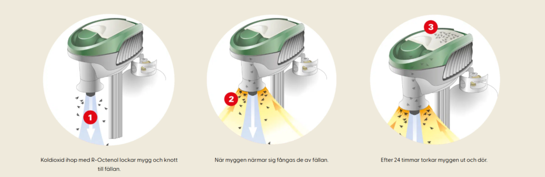 Alt-text: Diagram som visar hur en myggfälla fungerar i tre steg.