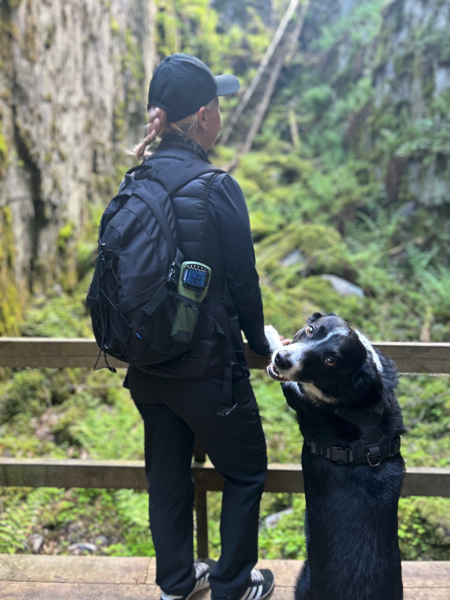 En person med ryggsäck står med en hund vid en klippkant i naturen.